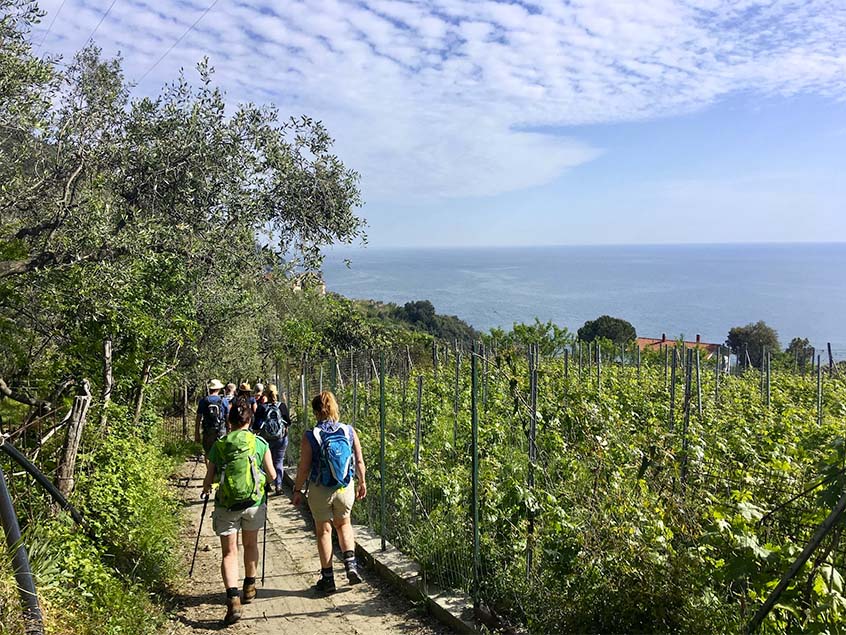 Trekking from Bonassola to Framura, with wine tour and tasting