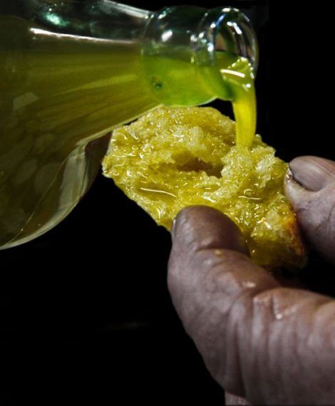 Badalucco: viaggio alla scoperta dell’olio di oliva