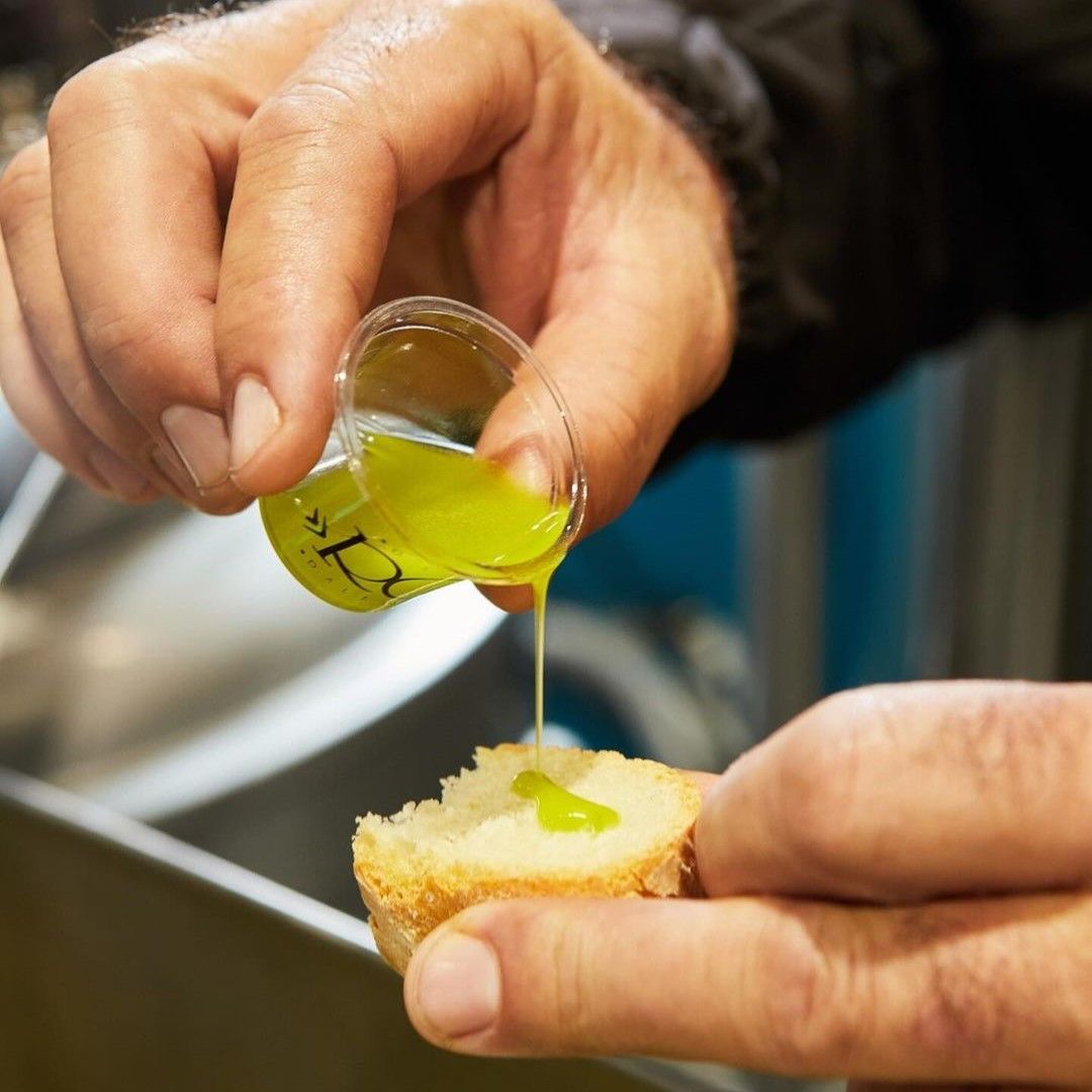 Badalucco: viaggio alla scoperta dell’olio di oliva