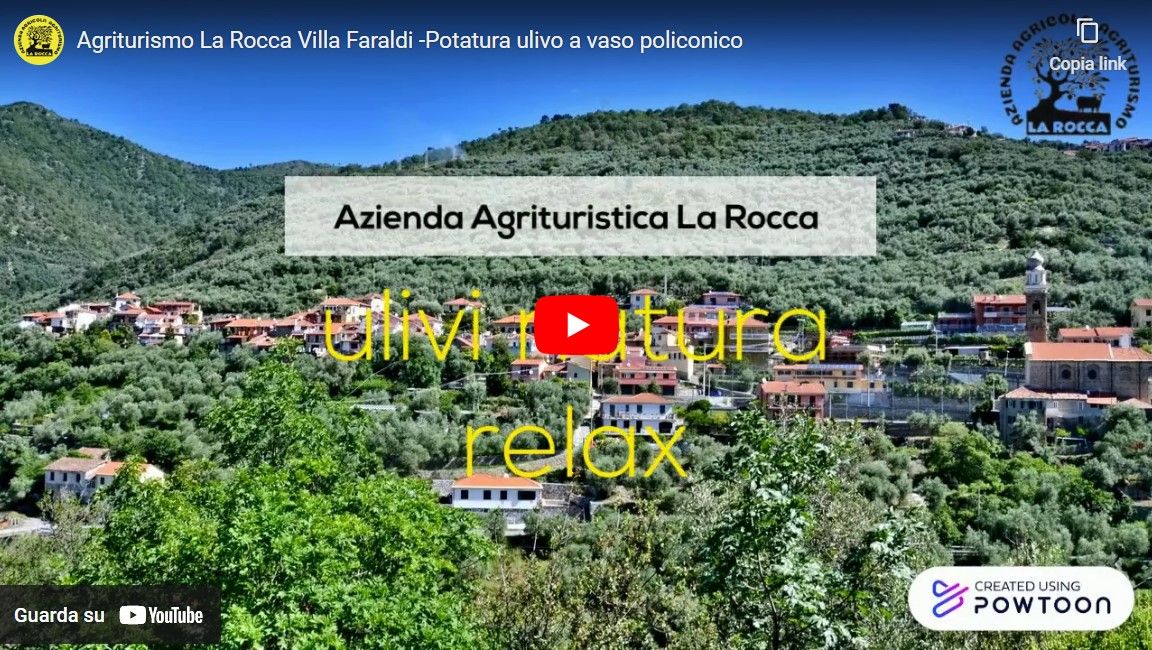 Experience Villa Faraldi Liguria