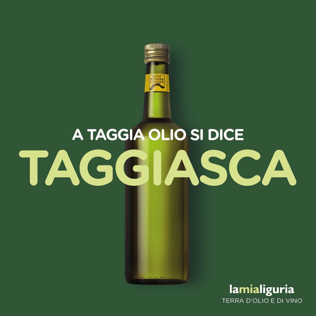 Taggiasca, identikit d’una oliva