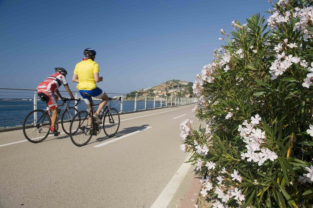 The cycle path of the Coastal Park in the Flower Riviera