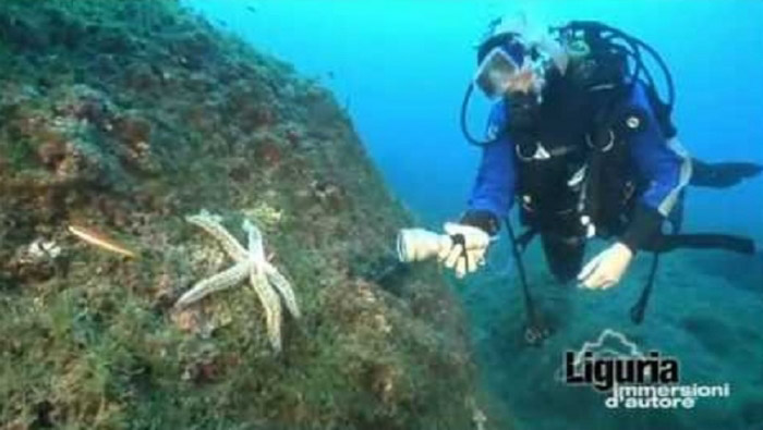 Naturalist Dive – Cinque Terre (SP) – Punta Mesco