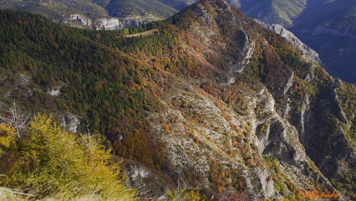 nel-cuore-delle-alpi-liguri-il-cammino-del-silenzio La Mia Liguria