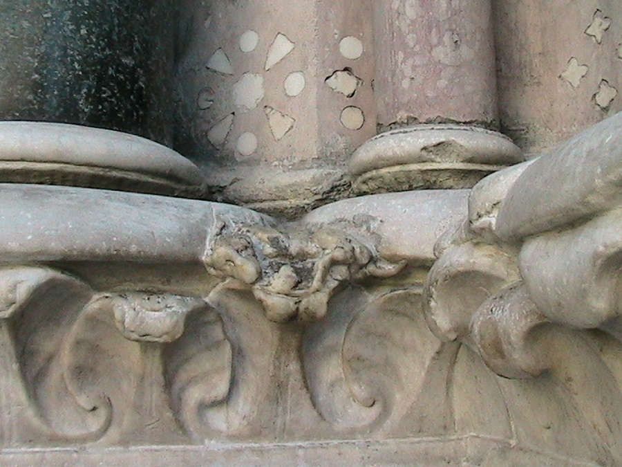 Il canetto sulla Cattedrale di San Lorenzo