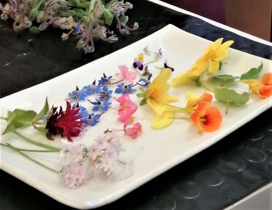 Festival Nazionale della Cucina con 
i fiori ad Alassio