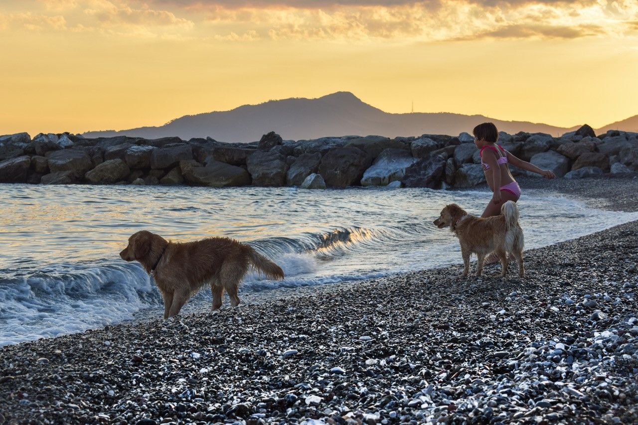 Spiagge per cani e dog beach in Liguria