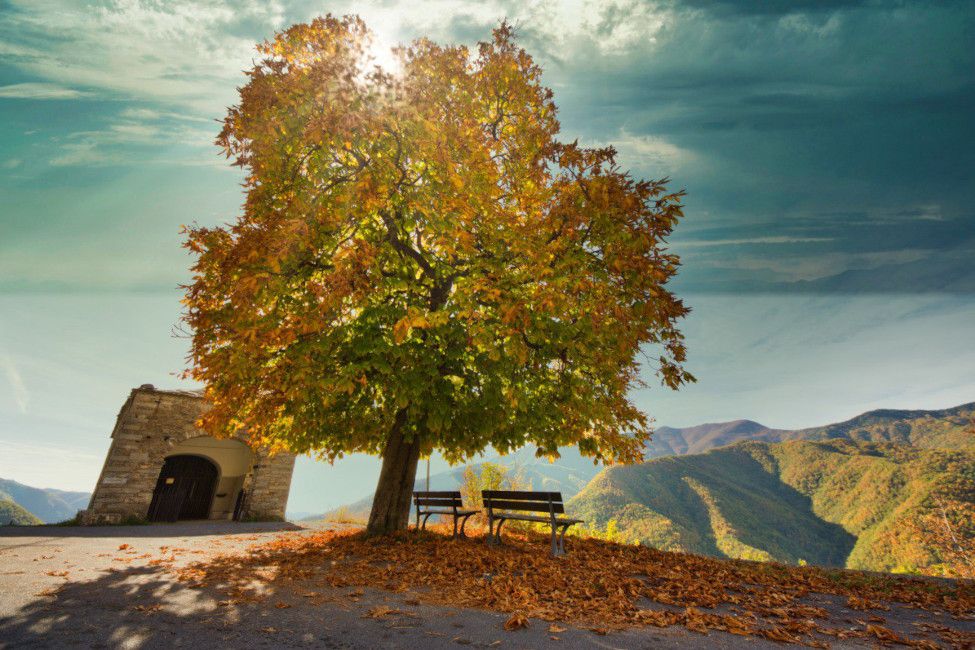 5 Places to Taste Autumn in Liguria