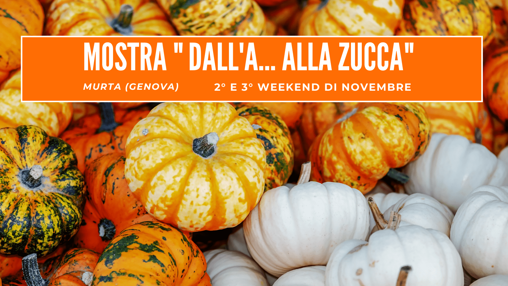 La Mostra della Zucca di 
Murta