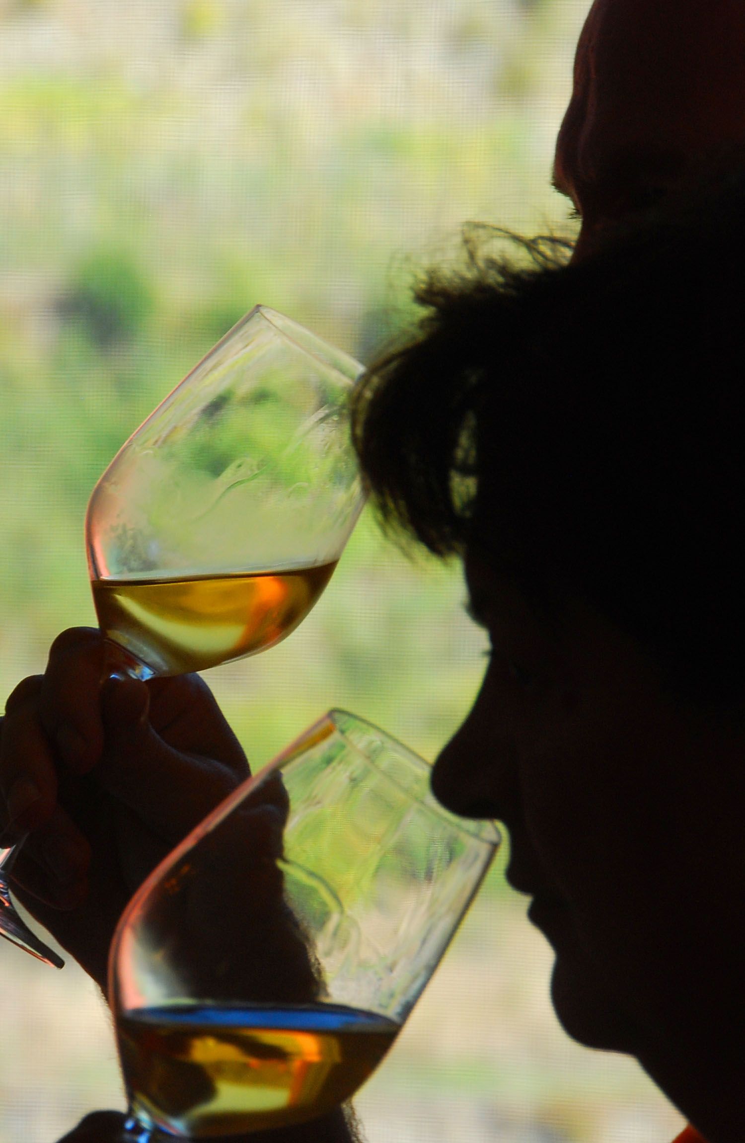 Wine and liqueur Tasting in Riomaggiore: an unexpected Liguria in a glass.