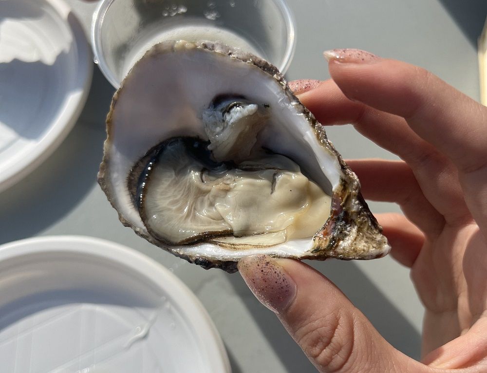 Italian Oyster Fest 2024: La 
Spezia celebra l’ostrica italiana