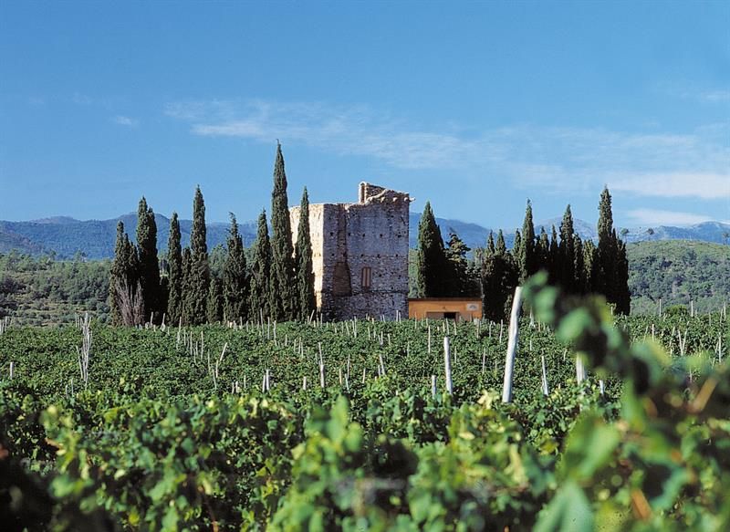 Torre Pernice, Albenga