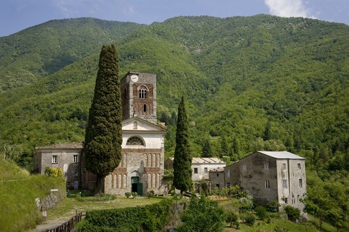 Cipresso presso l’Abbazia di Borzone a Borzonasca