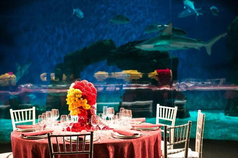 Un Week-End di Emozioni: Cena Esclusiva all’Acquario di Genova