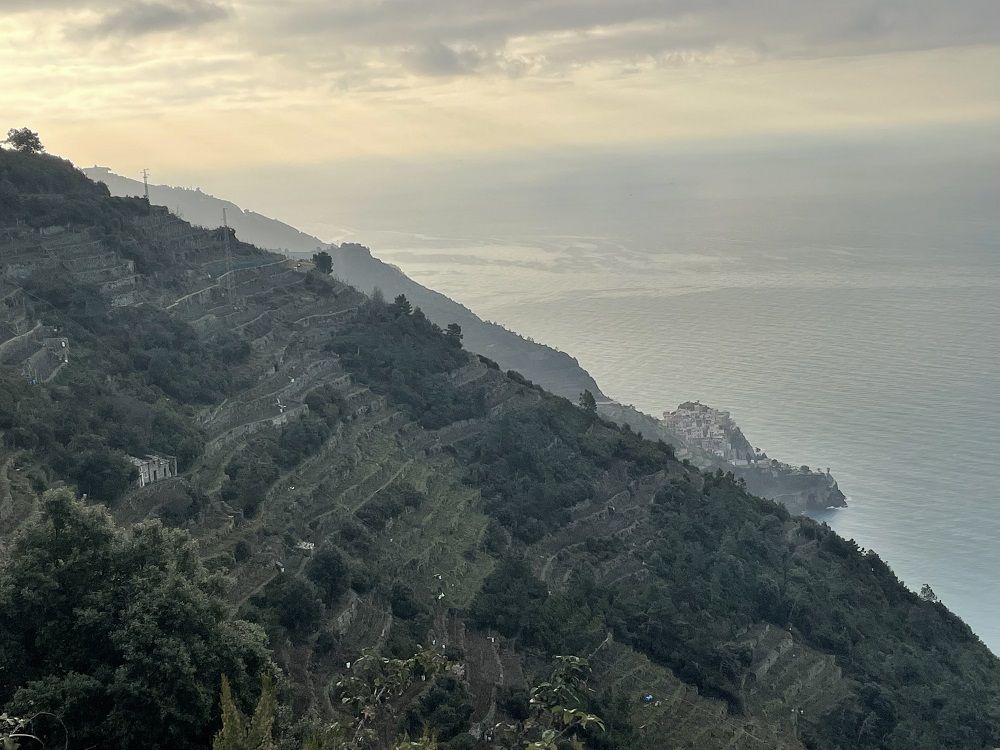 Biodiversità e lotta al cambiamento climatico: Manarola, muretti a secco